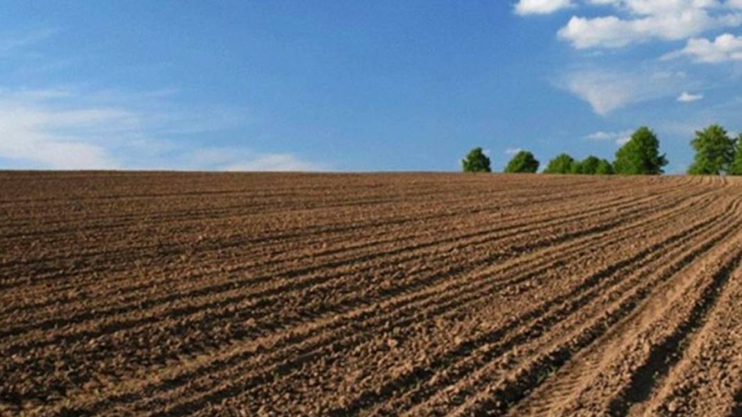 Bu şehirlerden birisinde oturanların başına talih kuşu kondu. Milli Emlak güzel haberi verdi 5